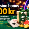 Casino bonus 100 kr – vad får du för pengarna?