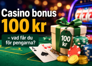 Casino bonus 100 kr – vad får du för pengarna?